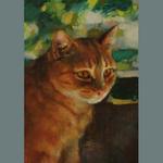 Orange Cat. oil on canvas