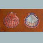 Scallop, watercolor and acrylic on board