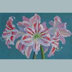 Amaryllis, watercolor and acrylic on board