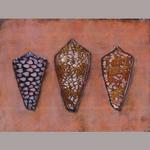 Three Cone Shells, watercolor and acrylic on board