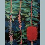 Bottlebrush, watercolor and acrylic on board