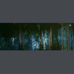 diorama, combined scrim and backdrop, Corkscrew Swamp Sanctuary, National Audubon Society, Hillmann and Carr, Inc.