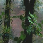 detail, mural, Smithsonian Orchid Show
