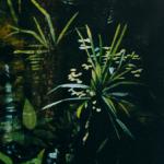 detail, Corkscrew Swamp Sanctuary, National Audubon Society, Hillmann and Carr