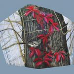 translucency on plexiglas, Robinson Nature Center, Howard County, MD, Howard & Revis Design