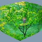 translucency on plexiglas, Robinson Nature Center, Howard County, MD, Howard & Revis Design