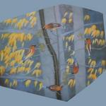 translucency on plexiglas, Robinson Nature Center, Howard County, MD, Howard & Revis Design