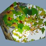 translucency on plexiglas, Robinson Nature Center, Howard County, MD, Howard & Revis Design