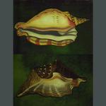detail, Peter Pan, designed and painted for Cincinnati Ballet